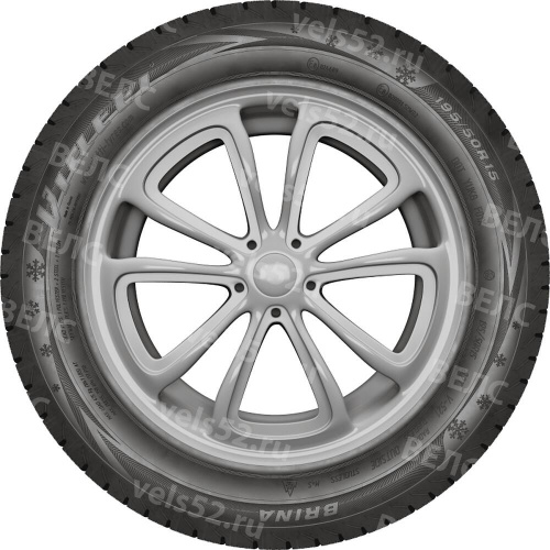 1_viatti-brina-t-max-vels