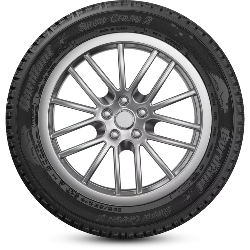 Snow Cross 2 sidewall