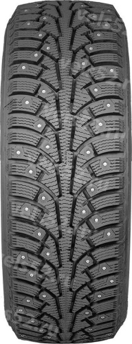 2_ikon-nordman-5-max-vels