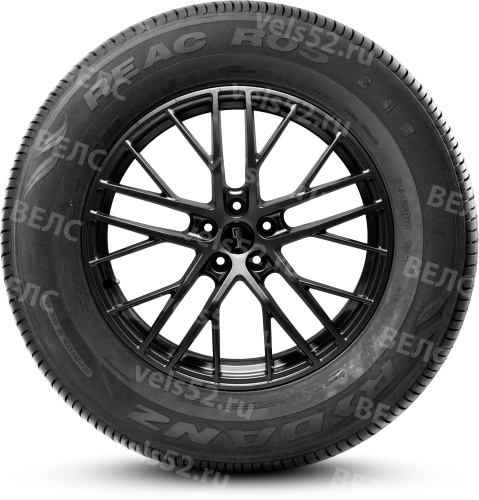 1_rydanz-reac-r05-max-vels