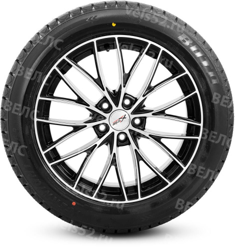 1_boto-wd69-max-vels