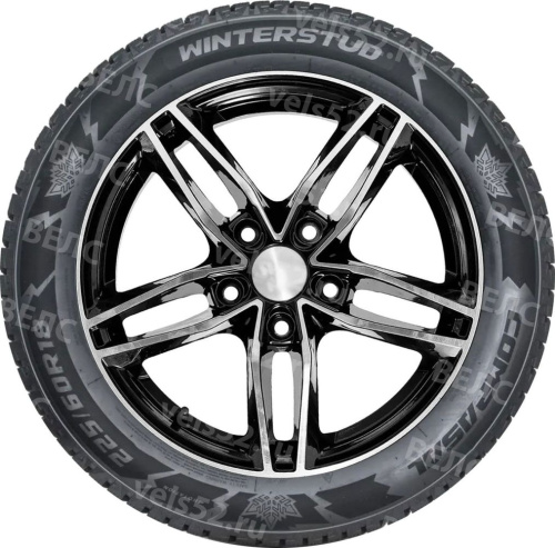 1_compasal-winter-stud-max-vels