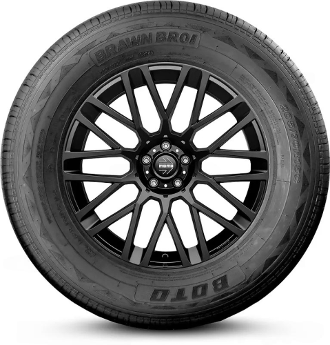 Brawn BR01 sidewall
