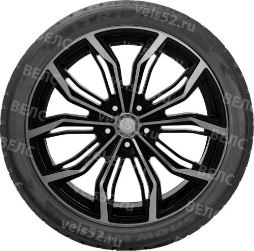 1_tri-ace-snow-white-ii-max-vels