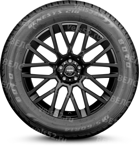 1_boto-genesys-218-max-vels