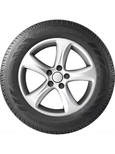CatchFors Max sidewall