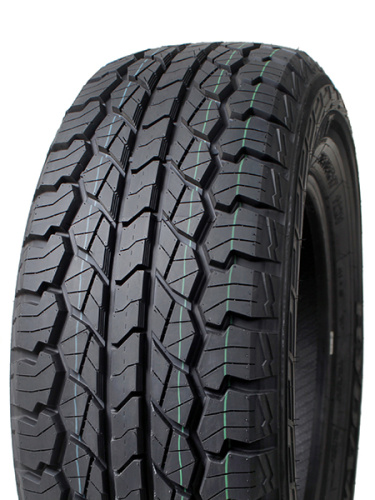 Raptor R09 AT s